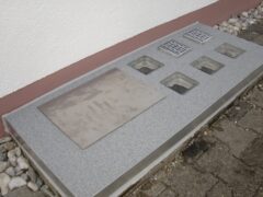 Lichtschachtabdeckungen aus Edelstahl mit verschiedenen Gitter- und Abdeckungsvarianten auf einem grauen Untergrund.